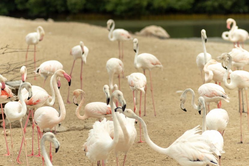 Free Things to Do in Dubai: Explore the City on a Budget