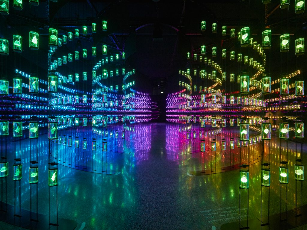 Instagrammable places in Dubai: Museum of the Future Instagrammable places in Dubai: Museum of the Future