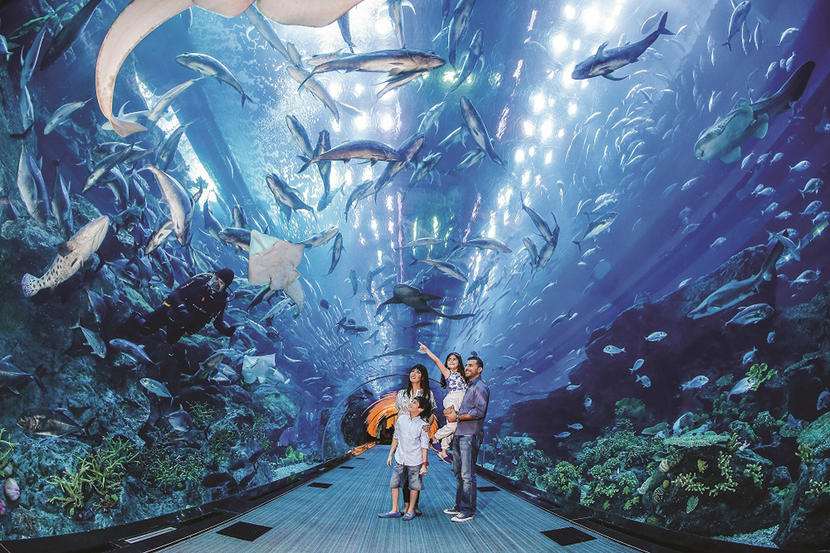 Fantastic things to do in Dubai, Dubai Aquarium and Underwater Zoo