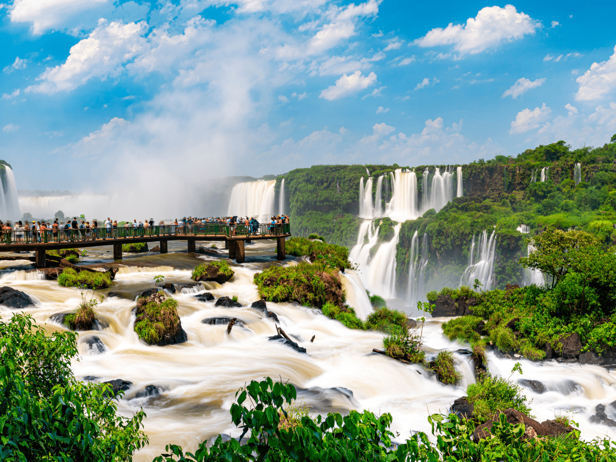 Increased Services to Brazil and Argentina